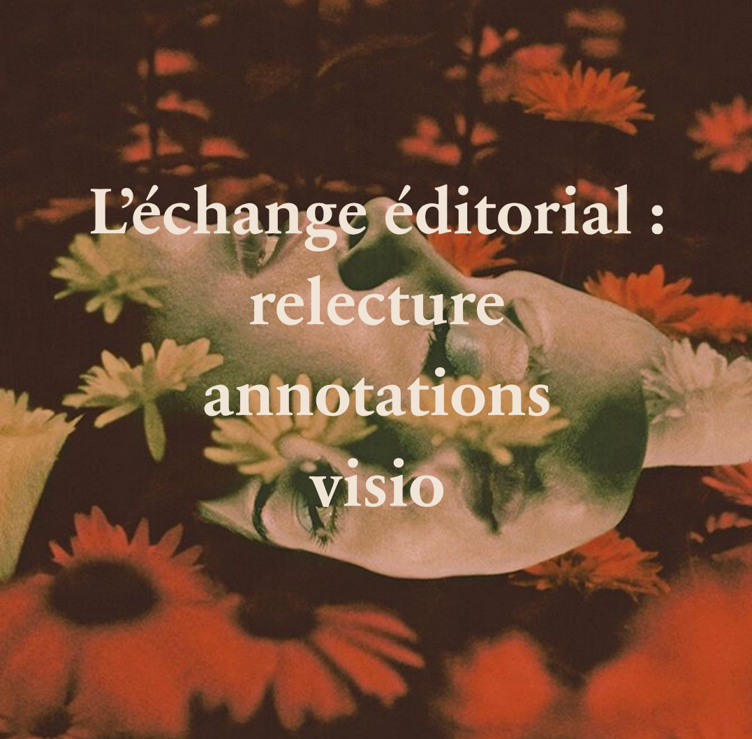 L’échange éditorial (Visio, relecture, annotations)