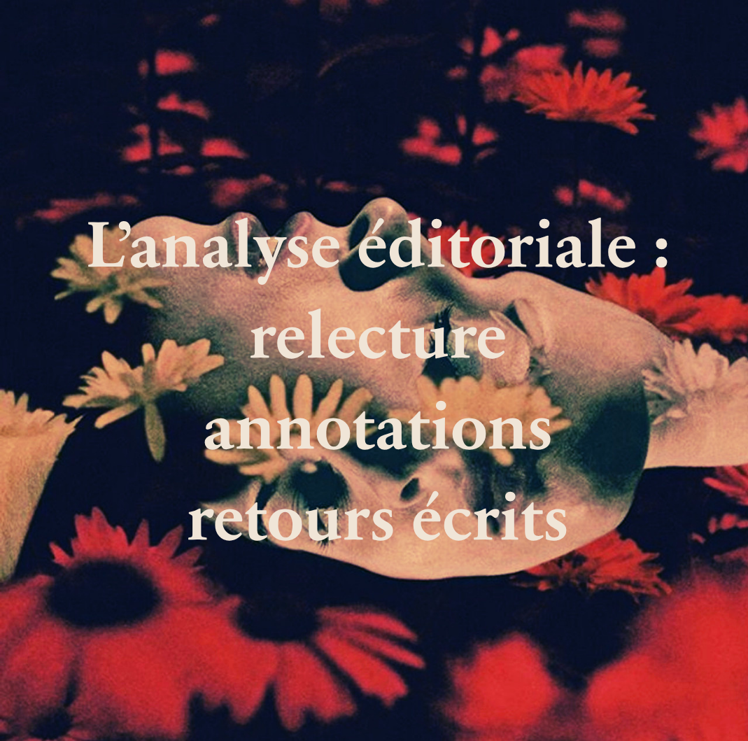 L’analyse éditoriale complète (relecture, annotations, retours écrits)